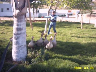 mouad